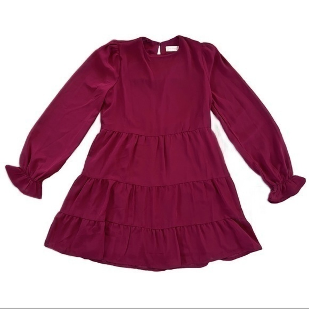 Altar'd State Burgundy Mini Dress